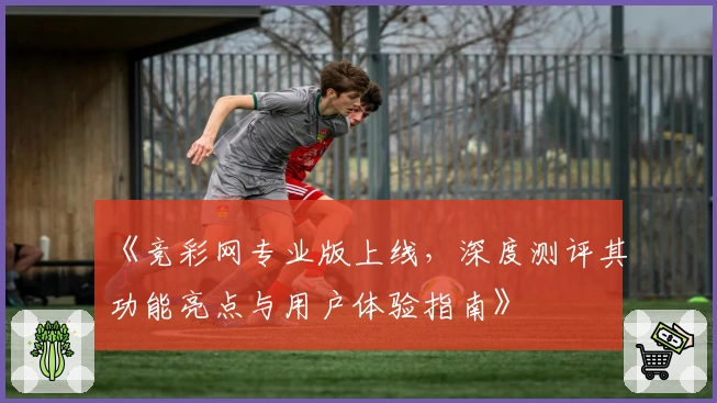 《竞彩网专业版上线，深度测评其功能亮点与用户体验指南》