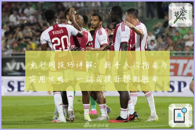 竞彩网技巧详解：新手入门指南与实用攻略，一站式提升预测胜率