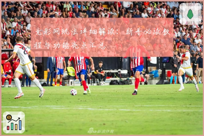 竞彩网玩法详细解读：新手必读教程与功能亮点汇总